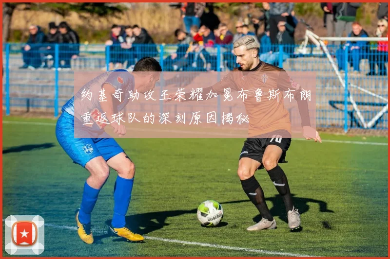 约基奇助攻王荣耀加冕布鲁斯布朗重返球队的深刻原因揭秘