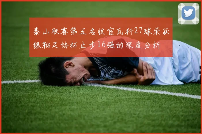 泰山联赛第五名收官瓦科27球荣获银靴足协杯止步16强的深度分析