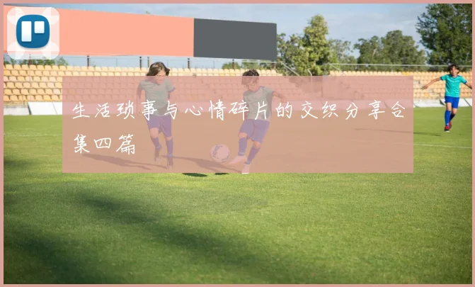 生活琐事与心情碎片的交织分享合集四篇